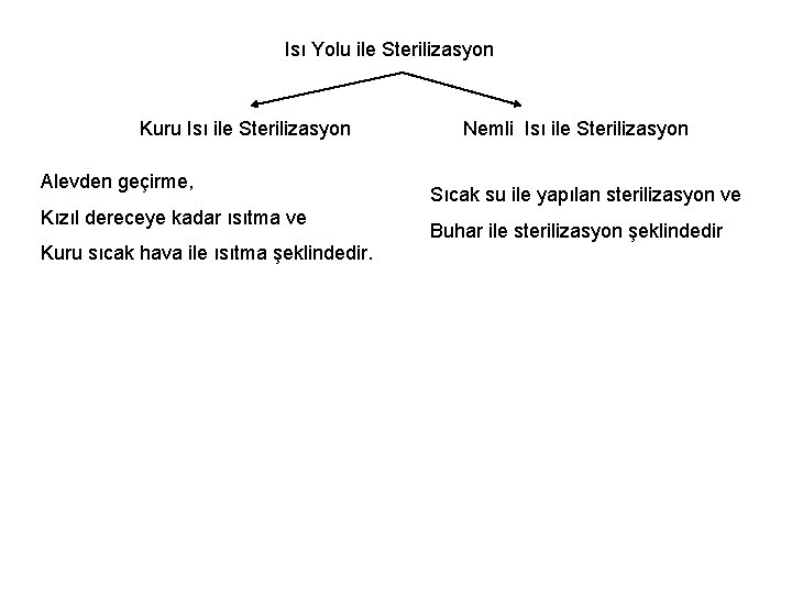 Isı Yolu ile Sterilizasyon Kuru Isı ile Sterilizasyon Alevden geçirme, Kızıl dereceye kadar ısıtma