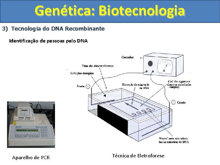 Genética: Biotecnologia 3) Tecnologia do DNA Recombinante Identificação de pessoas pelo DNA Aparelho de