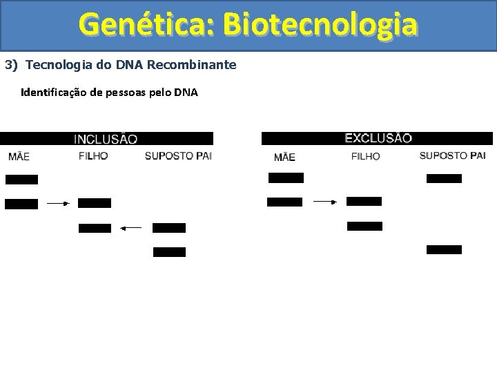 Genética: Biotecnologia 3) Tecnologia do DNA Recombinante Identificação de pessoas pelo DNA 