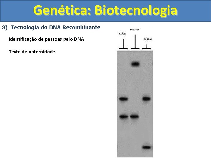 Genética: Biotecnologia 3) Tecnologia do DNA Recombinante Identificação de pessoas pelo DNA Teste de