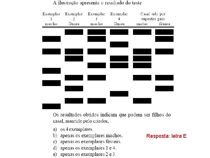 Resposta: letra E 