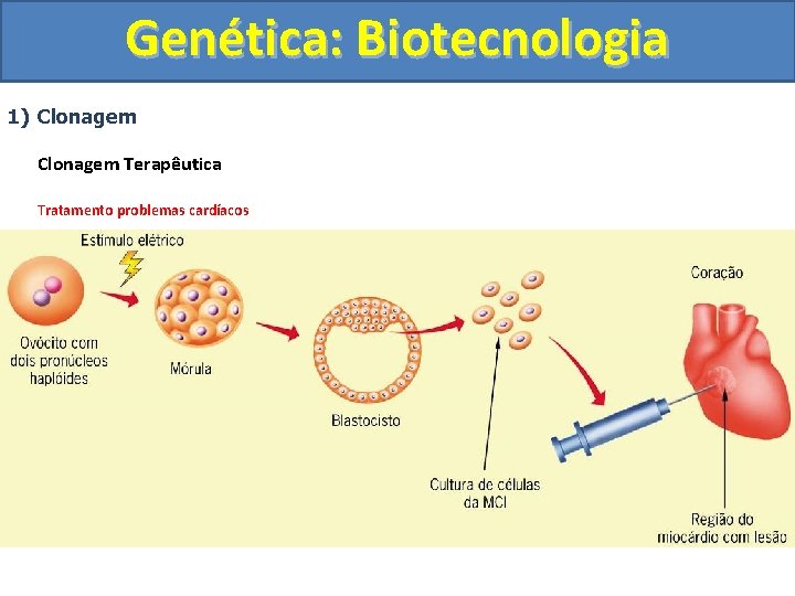 Genética: Biotecnologia 1) Clonagem Terapêutica Tratamento problemas cardíacos 