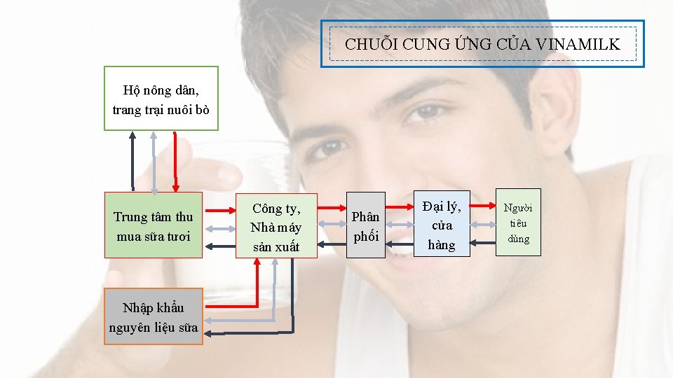 CHUỖI CUNG ỨNG CỦA VINAMILK Hộ nông dân, trang trại nuôi bò Trung tâm