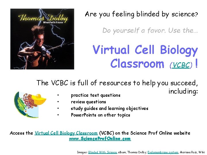 Are you feeling blinded by science? Do yourself a favor. Use the… Virtual Cell