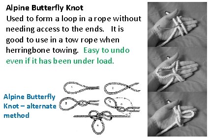 Alpine Butterfly Knot Used to form a loop in a rope without needing access