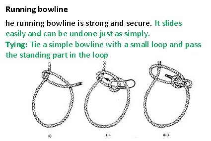 Running bowline he running bowline is strong and secure. It slides easily and can