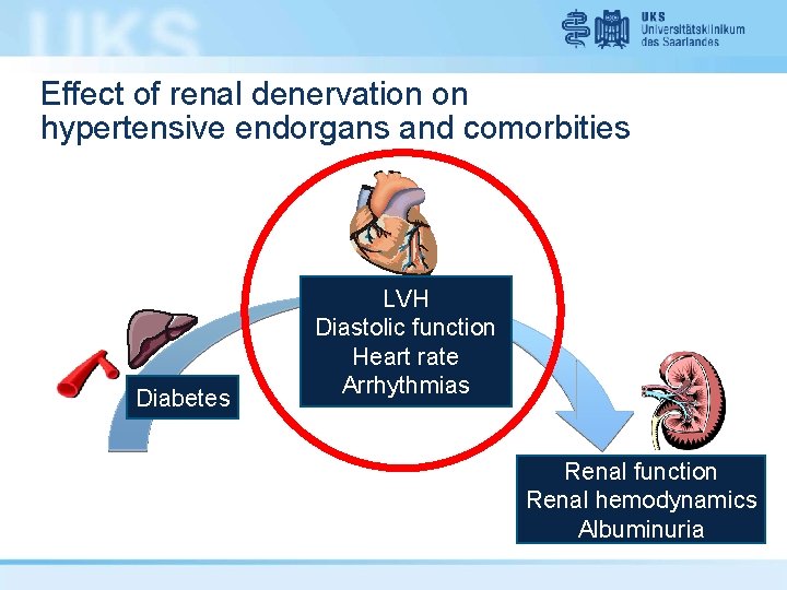 Effect of renal denervation on hypertensive endorgans and comorbities Diabetes LVH Diastolic function Heart