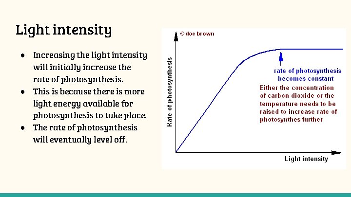 Light intensity ● Increasing the light intensity will initially increase the rate of photosynthesis.