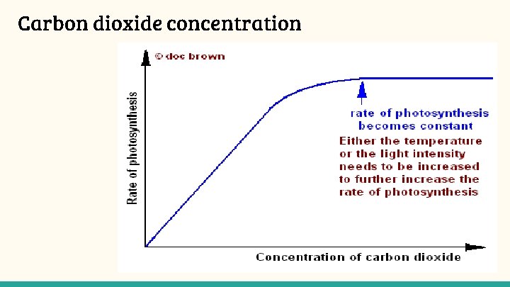 Carbon dioxide concentration 