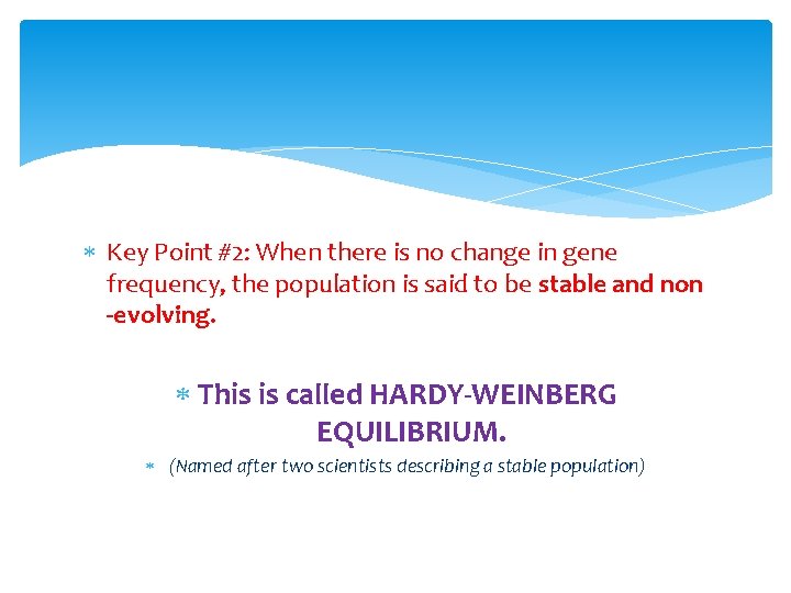  Key Point #2: When there is no change in gene frequency, the population