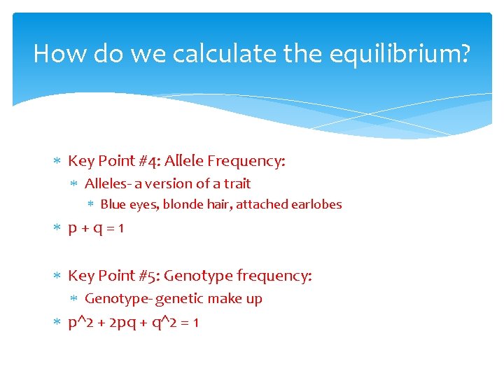 How do we calculate the equilibrium? Key Point #4: Allele Frequency: Alleles- a version