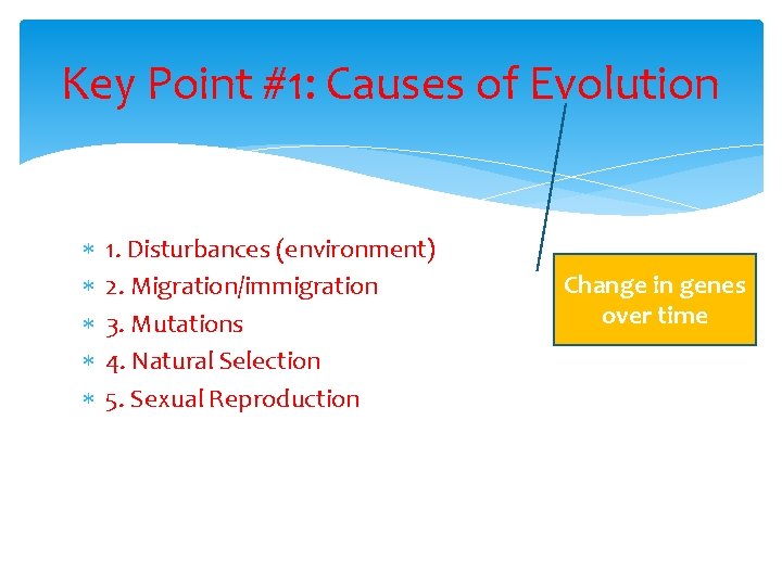 Key Point #1: Causes of Evolution 1. Disturbances (environment) 2. Migration/immigration 3. Mutations 4.