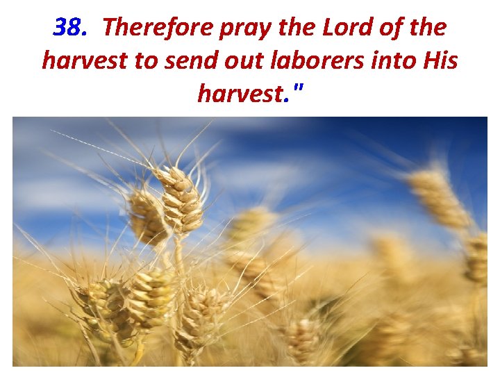 38. Therefore pray the Lord of the harvest to send out laborers into His