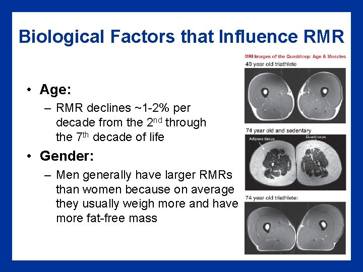 Biological Factors that Influence RMR • Age: – RMR declines ~1 -2% per decade