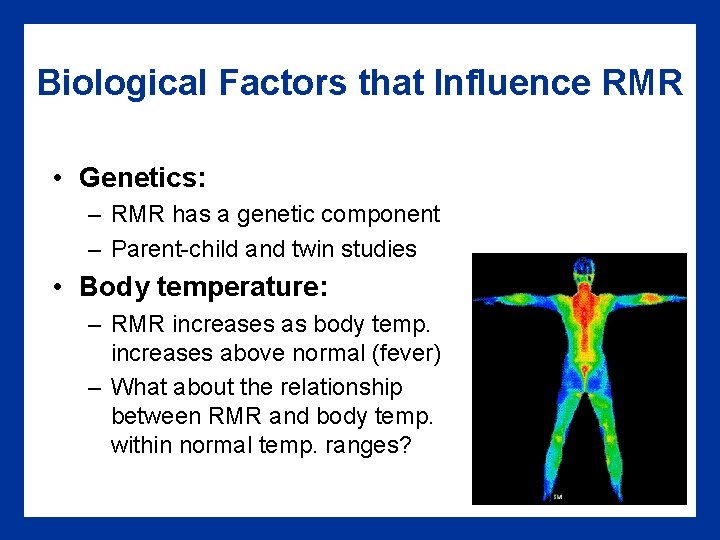 Biological Factors that Influence RMR • Genetics: – RMR has a genetic component –