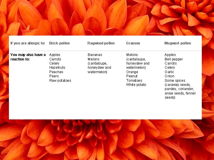 If you are allergic to: Birch pollen You may also have a Apples reaction