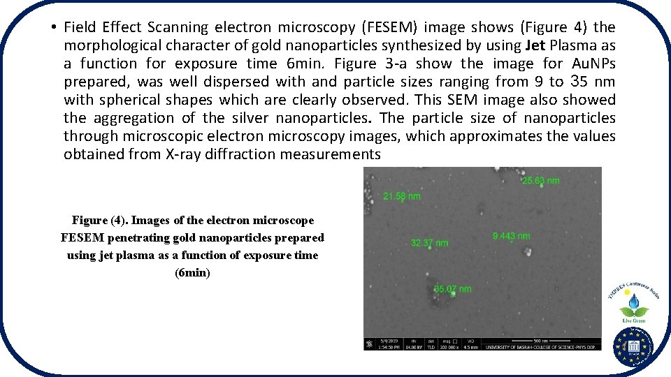  • Field Effect Scanning electron microscopy (FESEM) image shows (Figure 4) the morphological
