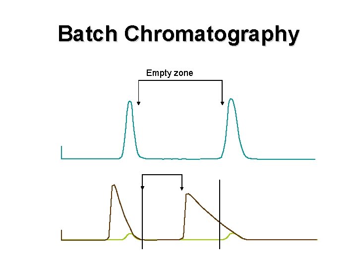 Batch Chromatography Empty zone 