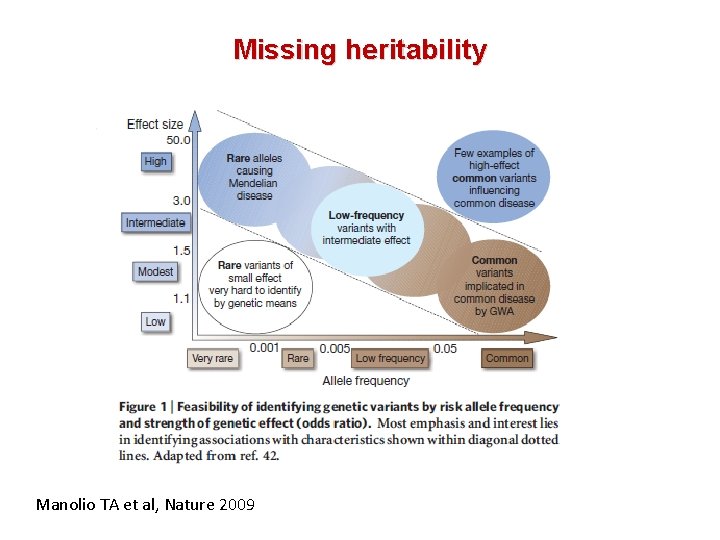 Missing heritability Manolio TA et al, Nature 2009 