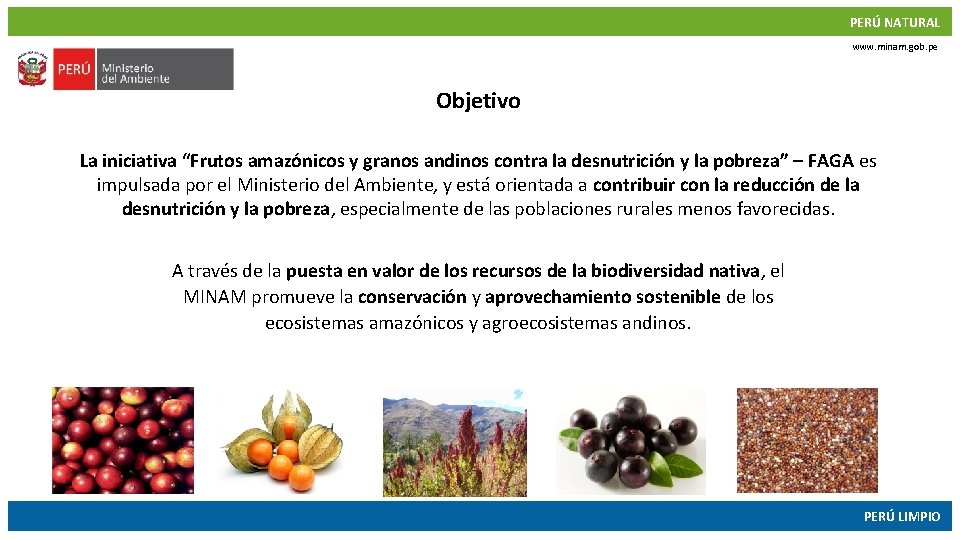 PERÚ NATURAL www. minam. gob. pe Objetivo La iniciativa “Frutos amazónicos y granos andinos