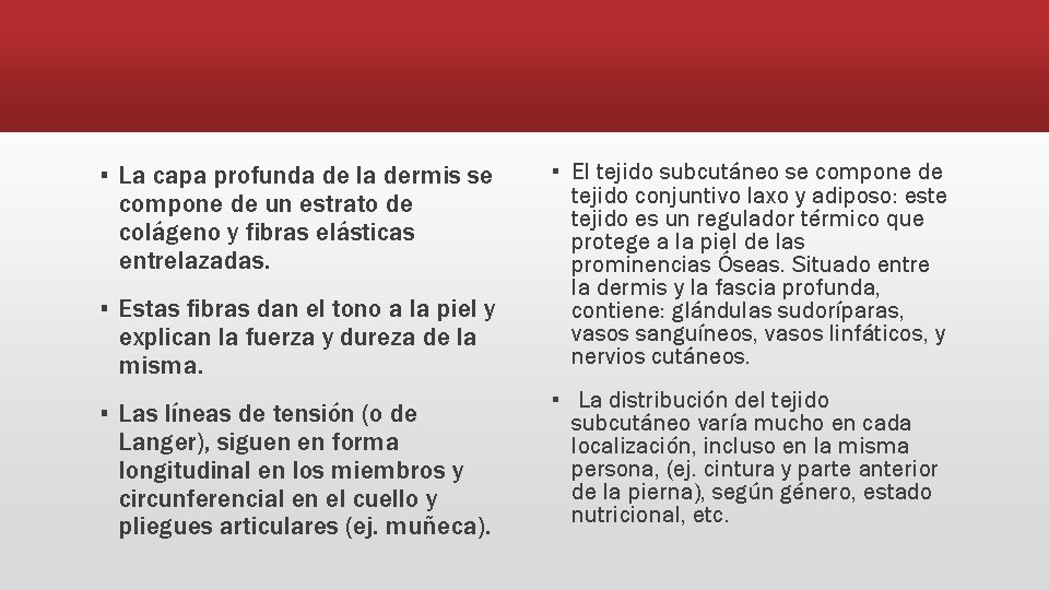 ▪ La capa profunda de la dermis se compone de un estrato de colágeno