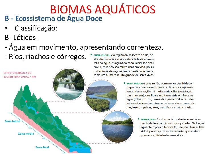 BIOMAS AQUÁTICOS B - Ecossistema de Água Doce • Classificação: B- Lóticos: - Água