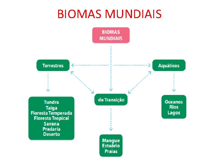 BIOMAS MUNDIAIS 