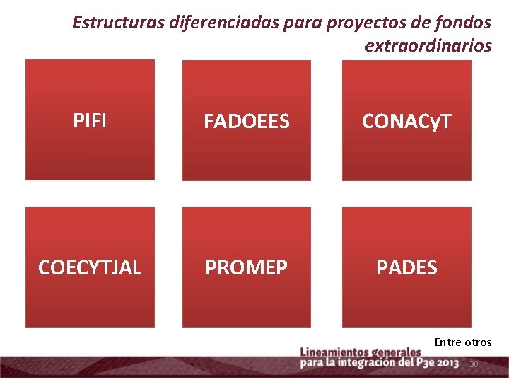 Estructuras diferenciadas para proyectos de fondos extraordinarios PIFI FADOEES CONACy. T COECYTJAL PROMEP PADES