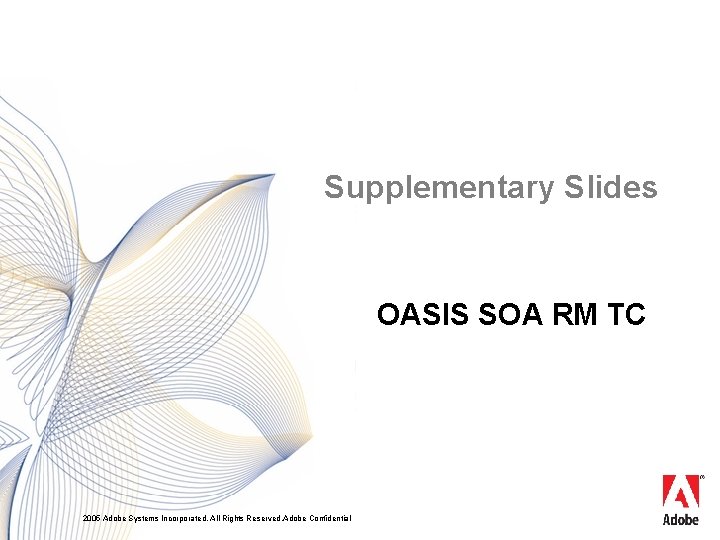 Supplementary Slides OASIS SOA RM TC 2005 Adobe Systems Incorporated. All Rights Reserved. Adobe