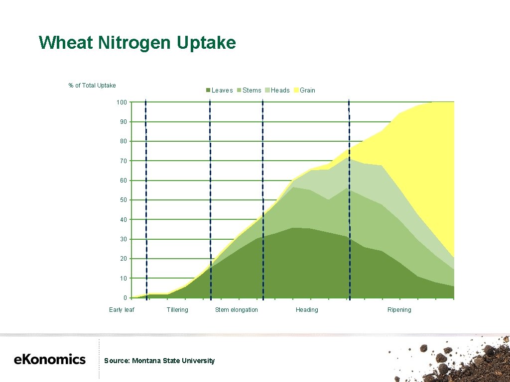 Wheat Nitrogen Uptake % of Total Uptake Leaves Stems Heads Grain 100 90 80