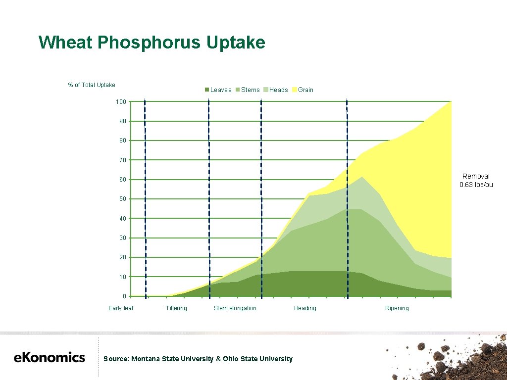 Wheat Phosphorus Uptake % of Total Uptake Leaves Stems Heads Grain 100 90 80