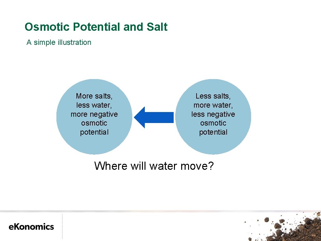 Osmotic Potential and Salt A simple illustration More salts, less water, more negative osmotic