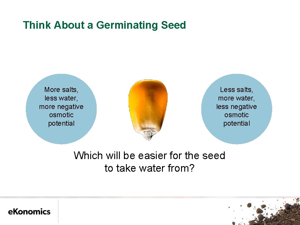 Think About a Germinating Seed More salts, less water, more negative osmotic potential Less