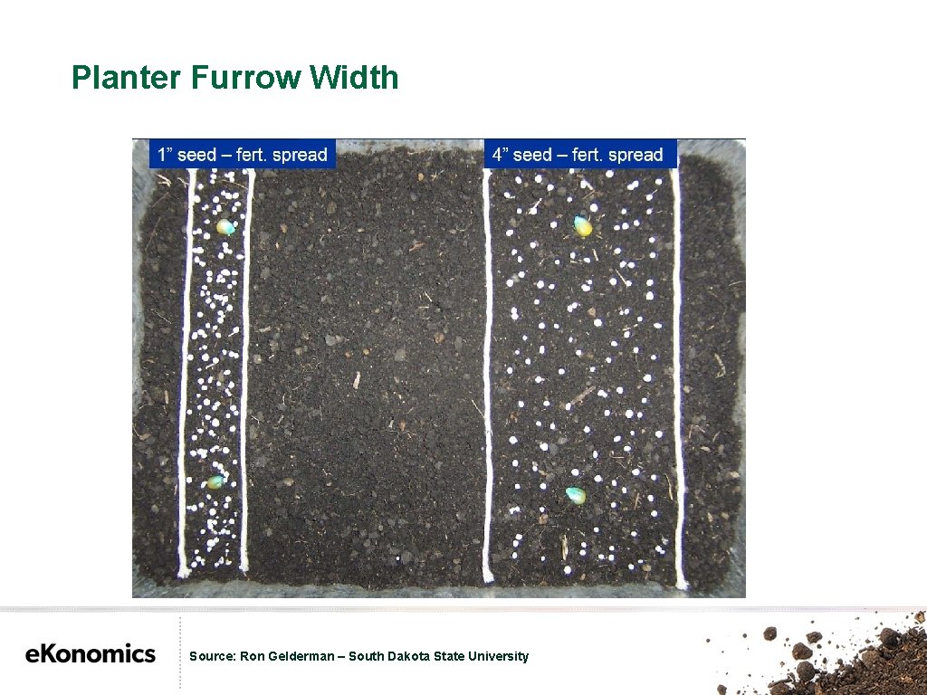 Planter Furrow Width Source: Ron Gelderman – South Dakota State University 