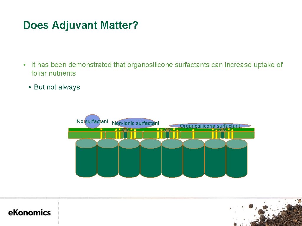 Does Adjuvant Matter? • It has been demonstrated that organosilicone surfactants can increase uptake