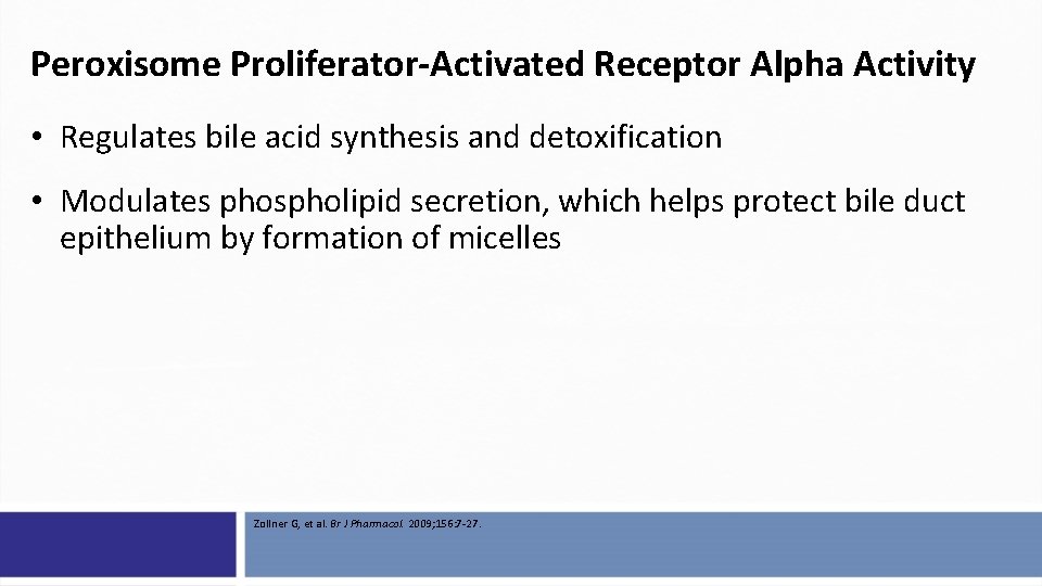 Peroxisome Proliferator-Activated Receptor Alpha Activity • Regulates bile acid synthesis and detoxification • Modulates