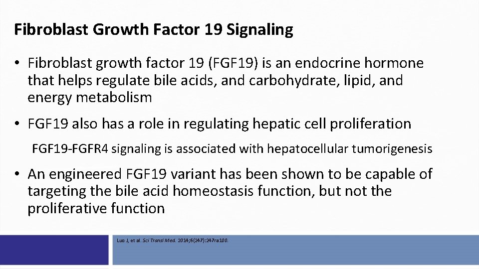 Fibroblast Growth Factor 19 Signaling • Fibroblast growth factor 19 (FGF 19) is an