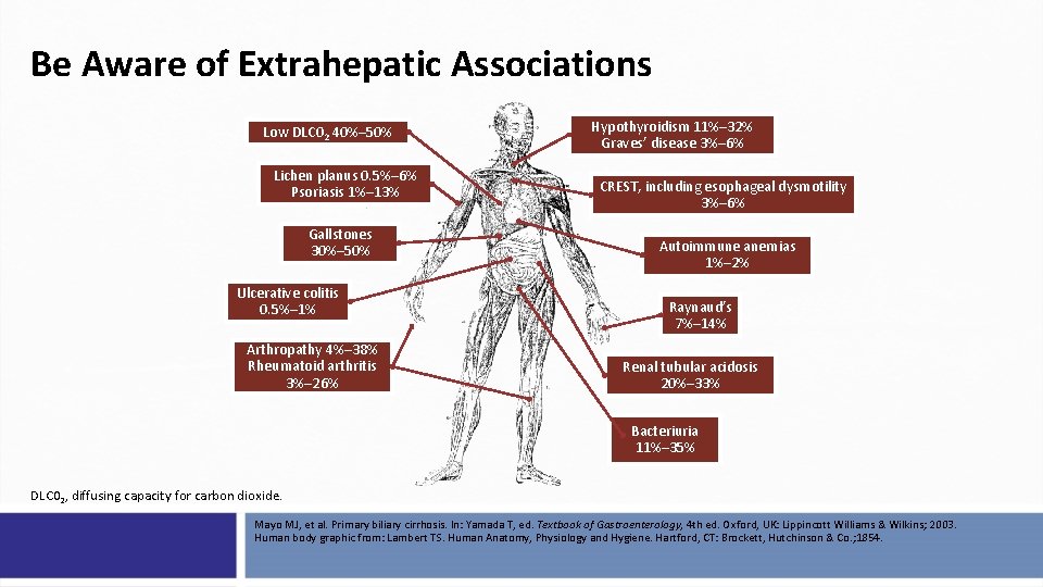 Be Aware of Extrahepatic Associations Low DLC 02 40%– 50% Lichen planus 0. 5%–