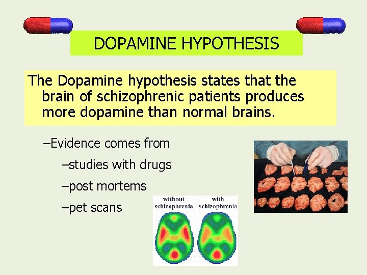 DOPAMINE HYPOTHESIS The Dopamine hypothesis states that the brain of schizophrenic patients produces more