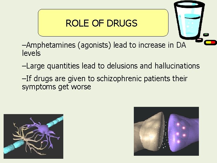 ROLE OF DRUGS –Amphetamines (agonists) lead to increase in DA levels –Large quantities lead