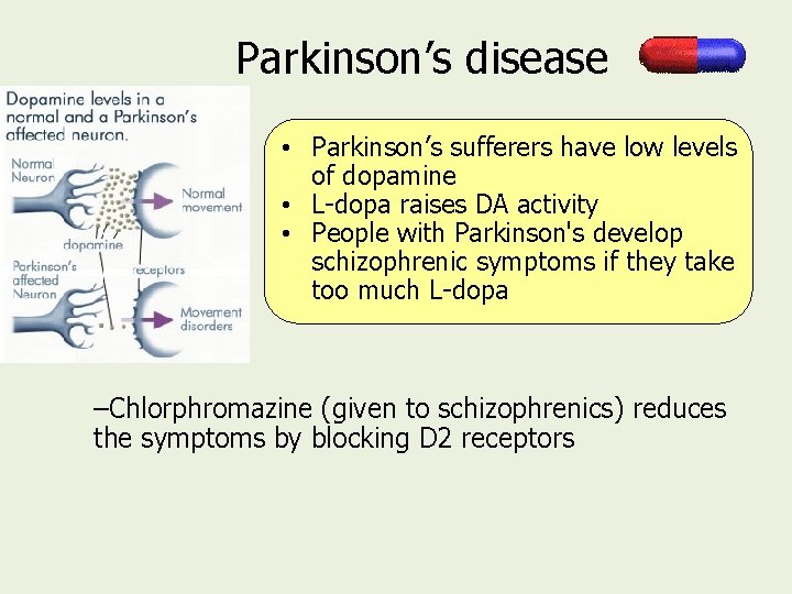 Parkinson’s disease • Parkinson’s sufferers have low levels of dopamine • L-dopa raises DA