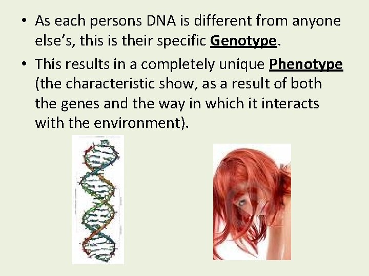  • As each persons DNA is different from anyone else’s, this is their