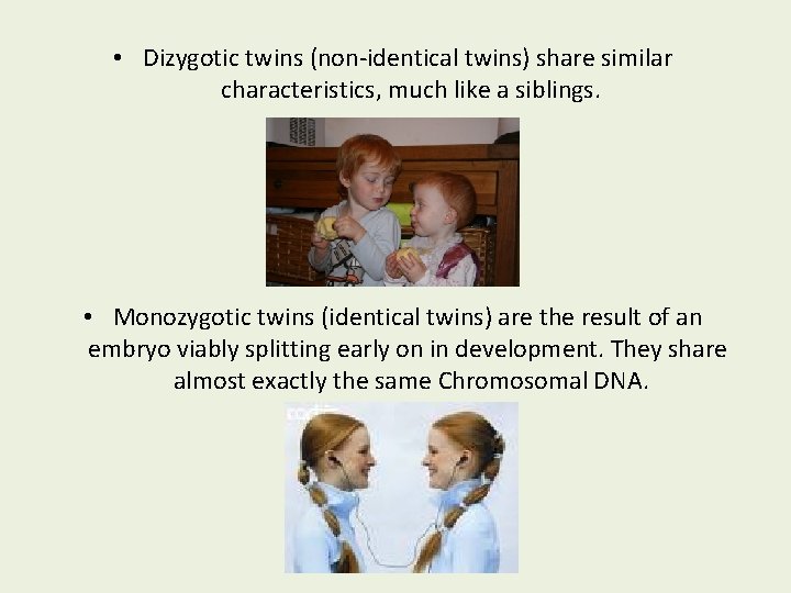  • Dizygotic twins (non-identical twins) share similar characteristics, much like a siblings. •