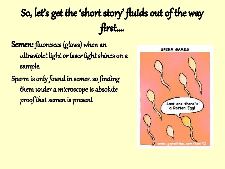 So, let’s get the ‘short story’ fluids out of the way first…. Semen: fluoresces