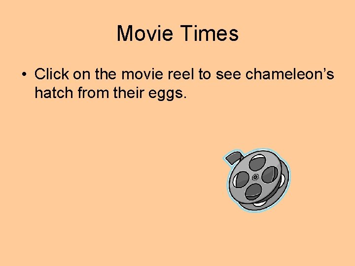 Movie Times • Click on the movie reel to see chameleon’s hatch from their