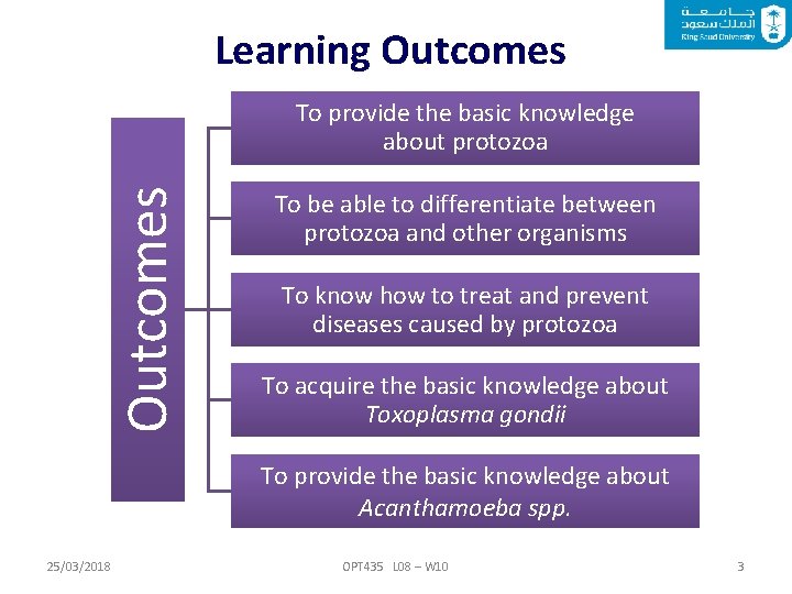 Learning Outcomes To provide the basic knowledge about protozoa To be able to differentiate