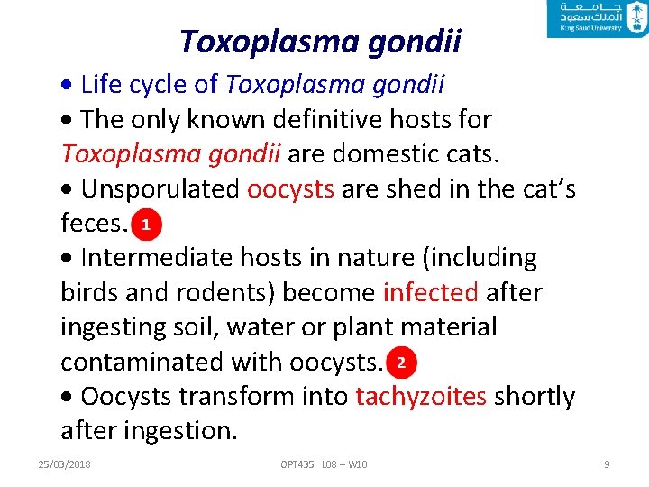 Toxoplasma gondii Life cycle of Toxoplasma gondii The only known definitive hosts for Toxoplasma