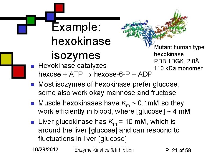 Example: hexokinase isozymes n n Mutant human type I hexokinase PDB 1 DGK, 2.