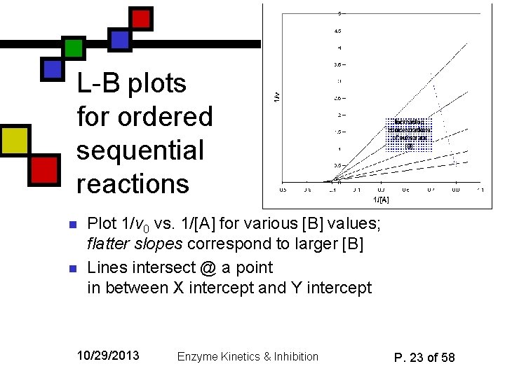 L-B plots for ordered sequential reactions n n Plot 1/v 0 vs. 1/[A] for