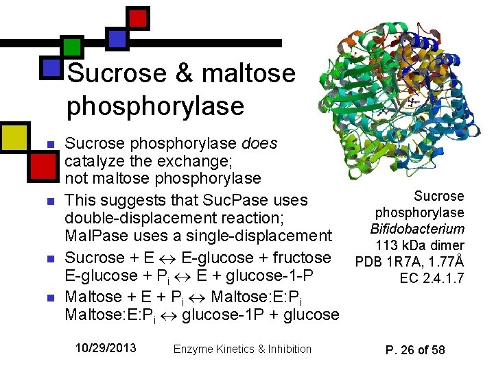 Sucrose & maltose phosphorylase n n Sucrose phosphorylase does catalyze the exchange; not maltose